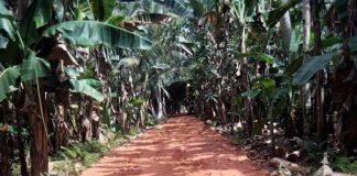 Warga Mempawah Bingung, Banyak Proyek Tak Pasang Plang