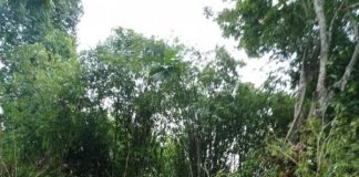 Pondok Durian Runtuh, Pesepakbola Top Tewas