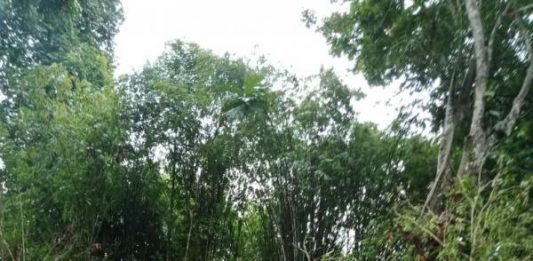 Pondok Durian Runtuh, Pesepakbola Top Tewas