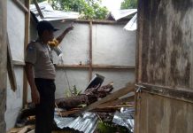 Rumah Ditimpa Pohon, Yulianus Luka Memar