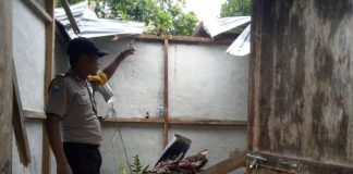 Rumah Ditimpa Pohon, Yulianus Luka Memar