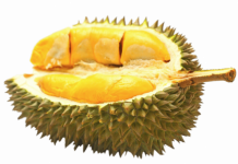 Durian Kemauan