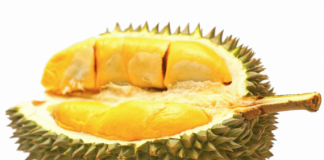 Durian Kemauan