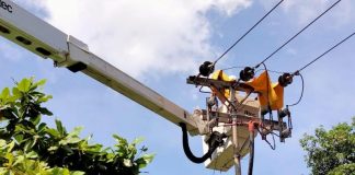 Jaga Keandalan Pasokan Listrik, Tim PDKB PLN Pontianak Pangkas Pohon Dekat Jaringan Listrik