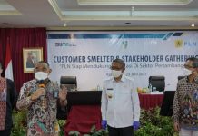 PLN Siap Dukung Sektor Bisnis hingga Tambang di Kalimantan
