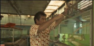 Produktivitas Usaha Kian Meningkat dengan Pasokan Listrik Andal