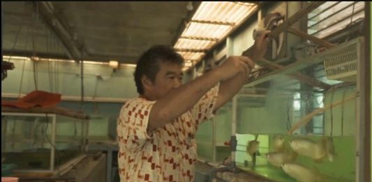 Produktivitas Usaha Kian Meningkat dengan Pasokan Listrik Andal