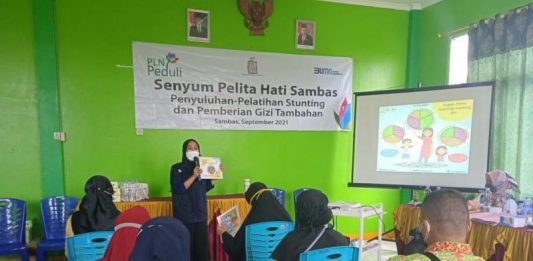 PLN Berikan Bantuan Pelatihan Kader Posyandu