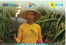 PLN Luncurkan Promo Super Dasyat Tambah Daya di Hari Listrik Nasional