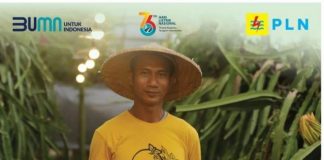 PLN Luncurkan Promo Super Dasyat Tambah Daya di Hari Listrik Nasional