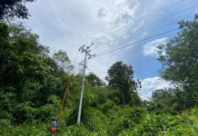 PLN Nyalakan Listrik di 2 Desa di Kabupaten Sambas