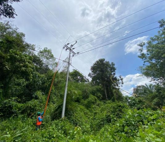 PLN Nyalakan Listrik di 2 Desa di Kabupaten Sambas