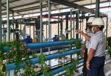 Manfaatkan Limbah, Produksi Biogas SEC Mampu Hasilkan Energi Listrik Ramah Lingkungan