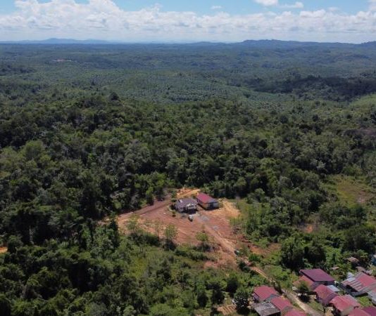 Jaga Ekosistem, PLN Gandeng Pramuka Tanam Pohon Produktif di Sanggau