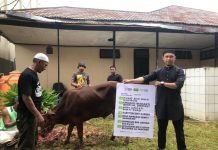 Dompet Ummat Bagikan Hewan Kurban di Daerah Pedalaman Kalbar