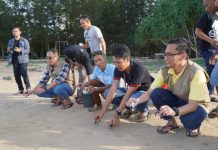 Bersama WWF Indonesia, PLN Bantu Konservasi Penyu di Pantai Peneluran Penyu Terpanjang di Indonesia