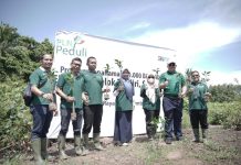 PLN UID Kalbar Kembali Tanam 10 Ribu Pohon Mangrove