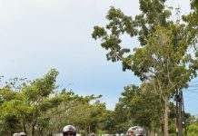 Beragam Komunitas Ikut Ramaikan “Fashion Meet Up Honda Stylo 160”