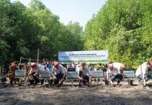 Peringati Hari Lingkungan Hidup Sedunia, Yayasan AHM Tanam Puluhan Ribu