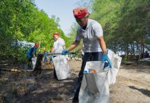 Mitigasi Perubahan Iklim dan Pelestarian Lingkungan, Yayasan AHM Tanam Puluhan Ribu Mangrove di Kawasan KEE