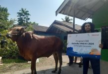 Hadirkan Idul Adha Penuh Berkah, Telkomsel Bagikan Hewan Kurban Bagi Masyarakat Membutuhkan