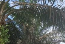 Yamaha Filano Tetap Nyaman dan Asik Dipakai Disetiap Perjalanan