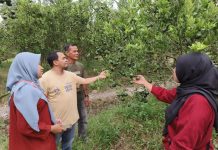 Kembalikan Kejayaan Jeruk Lokal di Sambas, PLN UID Kalbar Komitmen Dukung Kemajuan Ekonomi Masyarakat di Desa