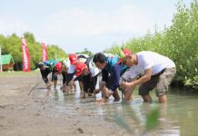 Berikan Manfaat Jangka Panjang Bagi Lingkungan dan Masyarakat, PT AHM Tanam Puluhan Ribu Pohon Mangrove di Kawasan Pesisir