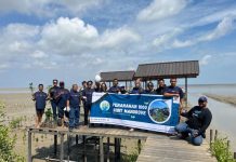 Berkolaborasi Komunitas Peduli Alam, Asmo Kalbar Tanam Pohon Mangrove Wujud Kepedulian Terhadap Lingkungan