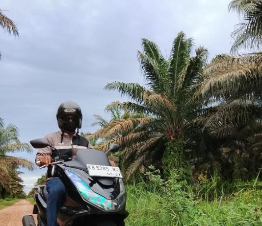 Lintasi Lahan Gambut, New Honda PCX160 Tunjukkan Kecanggihan dan Ketangguhannya di Segala Lintasan