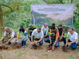 Yayasan AHM Kolaborasi dengan Masyarakat Pekalongan Lestarikan Satwa Owa Jawa