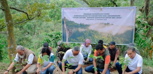 Yayasan AHM Kolaborasi dengan Masyarakat Pekalongan Lestarikan Satwa Owa Jawa