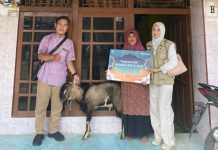 Telkomsel Salurkan Hewan Kurban di Momen Idul adha 1447 H