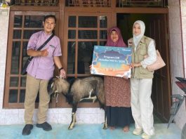 Telkomsel Salurkan Hewan Kurban di Momen Idul adha 1447 H