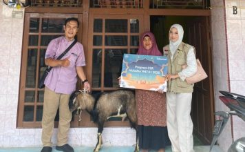 Telkomsel Salurkan Hewan Kurban di Momen Idul adha 1447 H